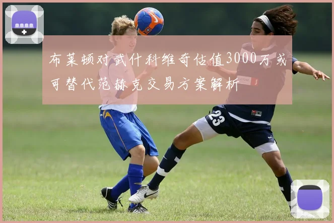 布莱顿对武什科维奇估值3000万或可替代范赫克交易方案解析